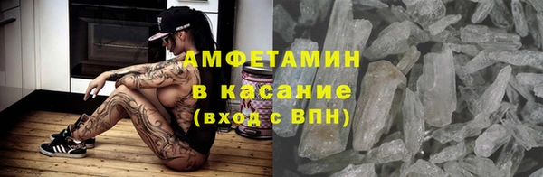 гашик Пересвет