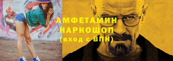 гашик Пересвет