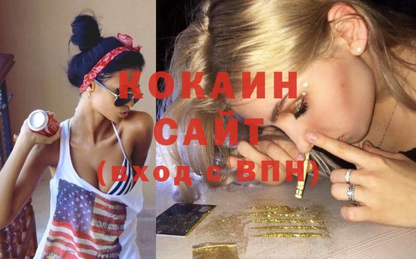 гашик Пересвет
