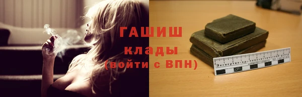 гашик Пересвет