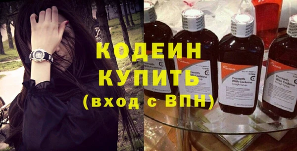 гашик Пересвет