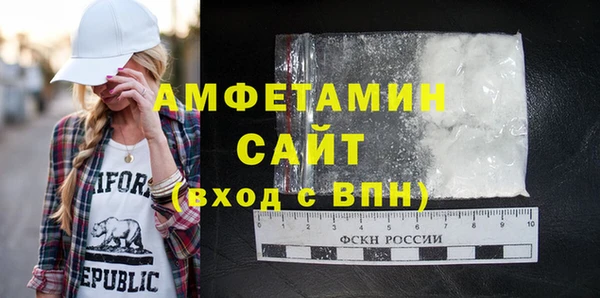 гашик Пересвет