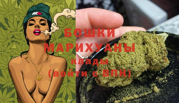 гашик Пересвет